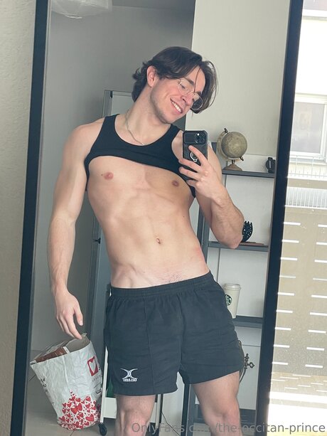 The Occitan Prince model high quality gallery