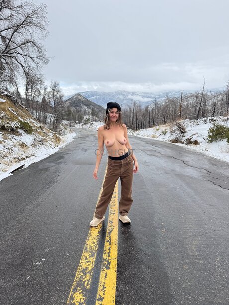 Ccflight pornographic star archive