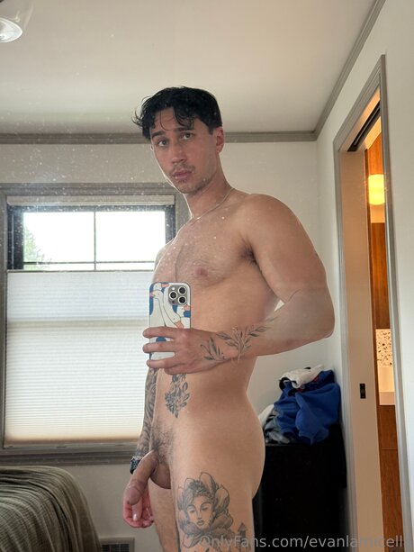 Evanlamicella pornstar adult img