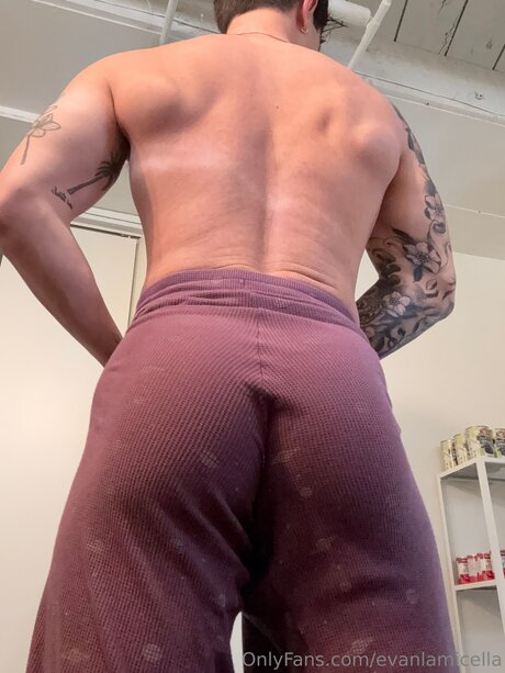 Evanlamicella art pornstar photos