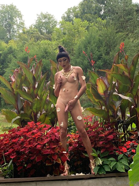 Venuslux adult model photos