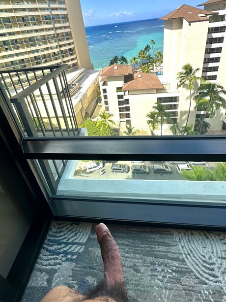 Dibarros1 xxx actress images