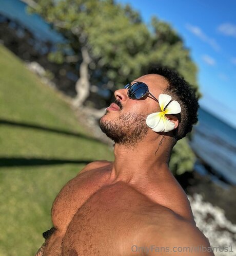 Dibarros1 best pornstar picture