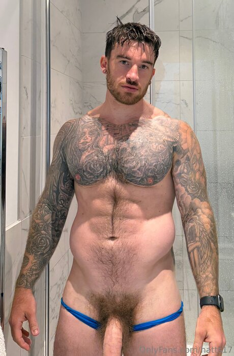 Hatts17 model art pictures