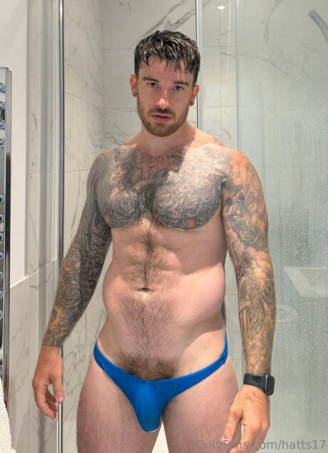 Hatts17 art pornstar archive