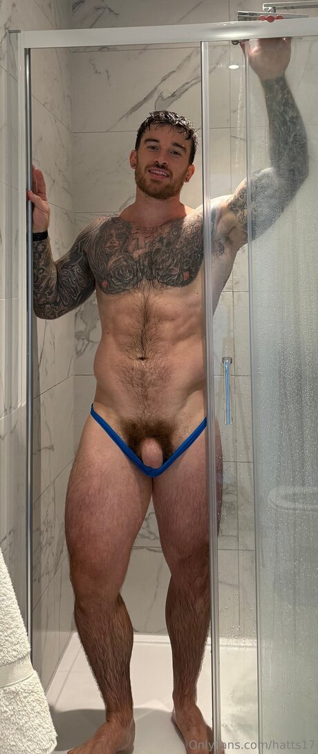 Hatts17 model hot img