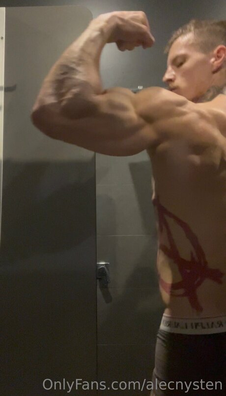 Alecnysten art pornstar photos