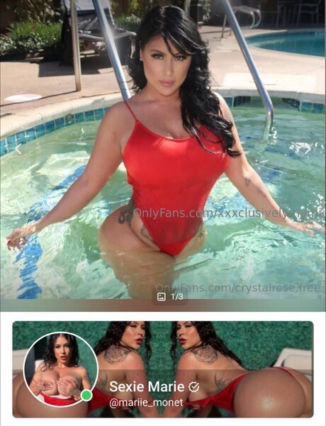 Xxxclusivelymami sexy star pictures