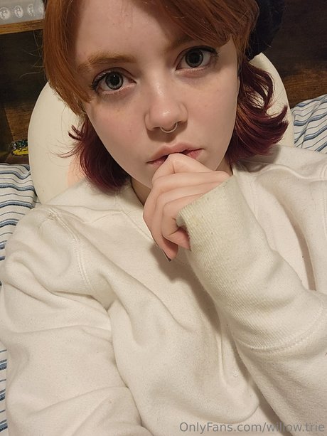 Willow Trie high quality star img