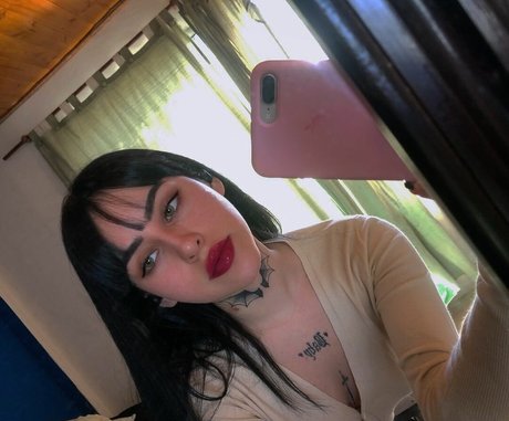 zowibaby top star archive