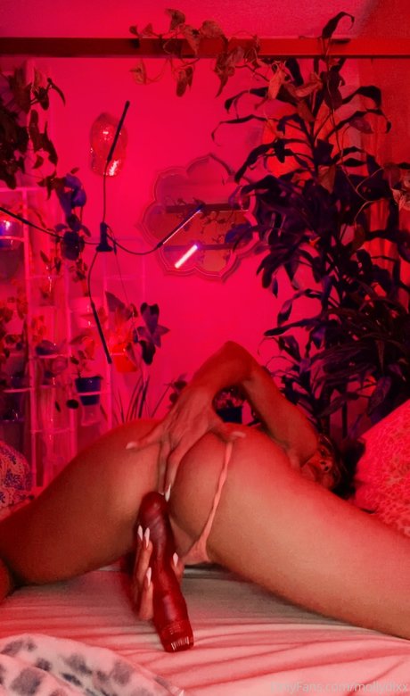 Molly Dixx model erotic pictures