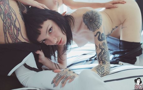 Zzef sex star pictures