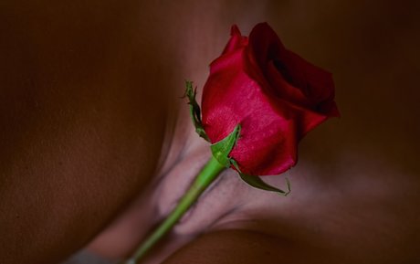 Zuri Aspiunza star top archive