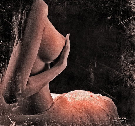 Zrenjanin star perfect photo