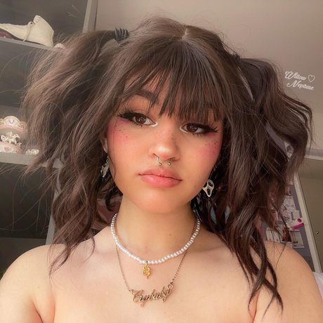 Willow neptune star free photos