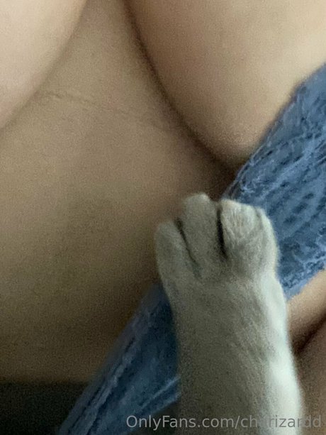 Charizard pretty pornstar pic