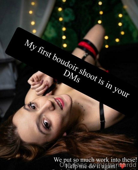 Charizard adult star image