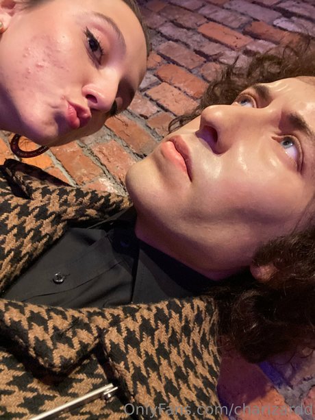 Charizard model image