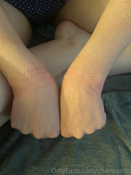 Charizard adult model photos