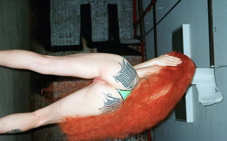 Cloversworldwide porn actress archive