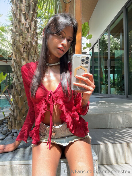 Annacelestex star art images