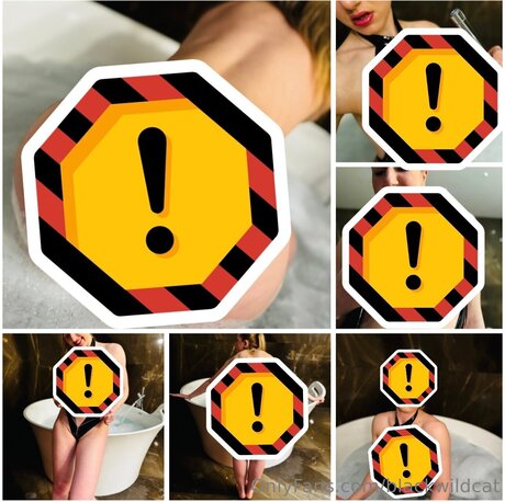 Blackwildcat hot model pics