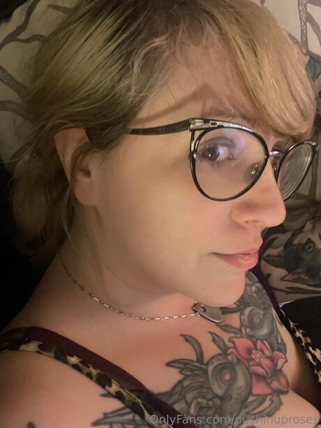 Pushinuproses nice model img