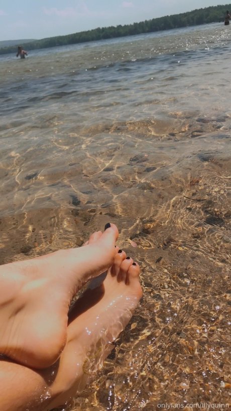 Lily Quinn star perfect pictures