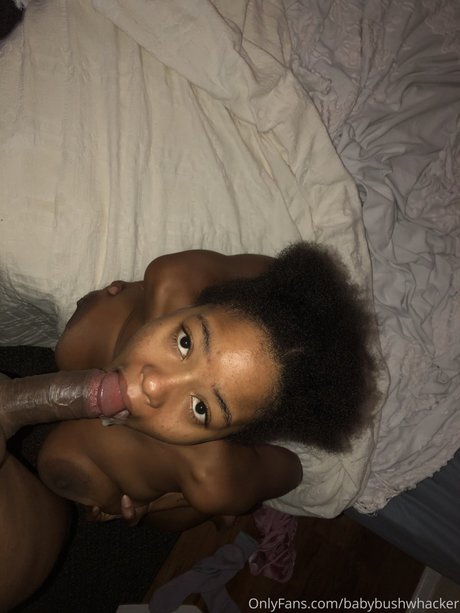 Babybushwhacker high quality star images