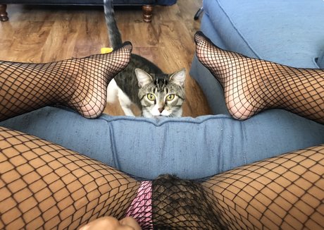 Babybushwhacker star nude pics