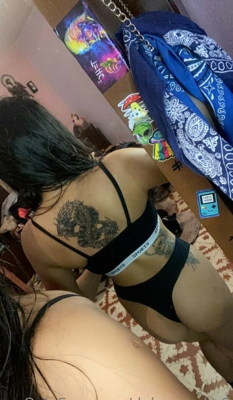 Dalaysmoke6 model top photos