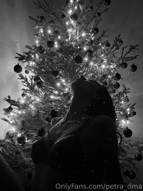 Petra dma star art archive