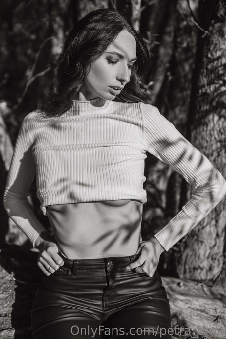 Petra dma star adult photo