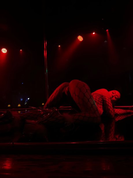 Seema star free gallery