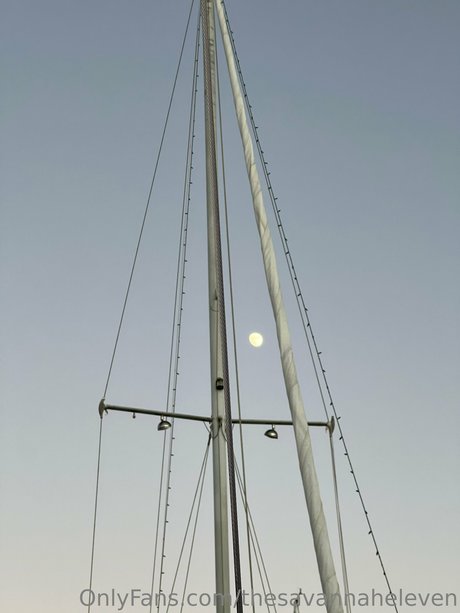 Thesavannaheleven sexy pornstar archive