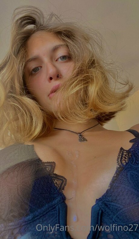 Wolfino27 star art photos