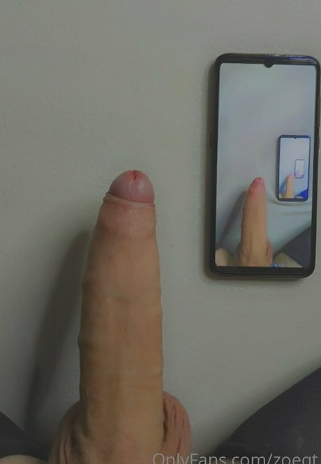 zoeqt model nice images