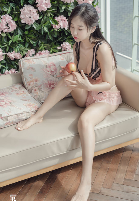 Zenny exclusive star gallery