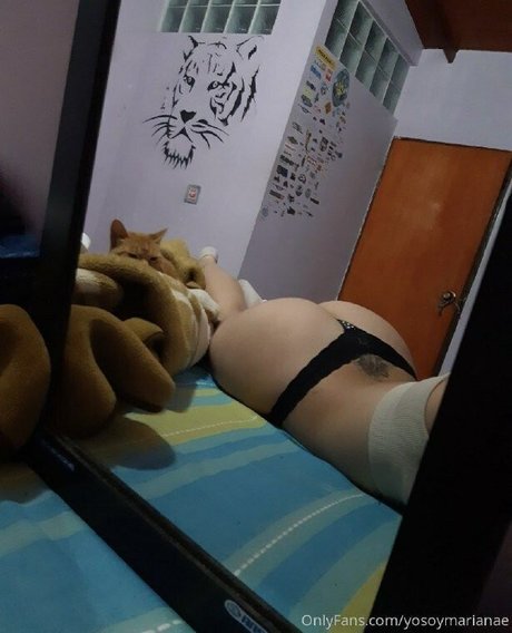 Mariana Echeverri high quality pornstar galleries