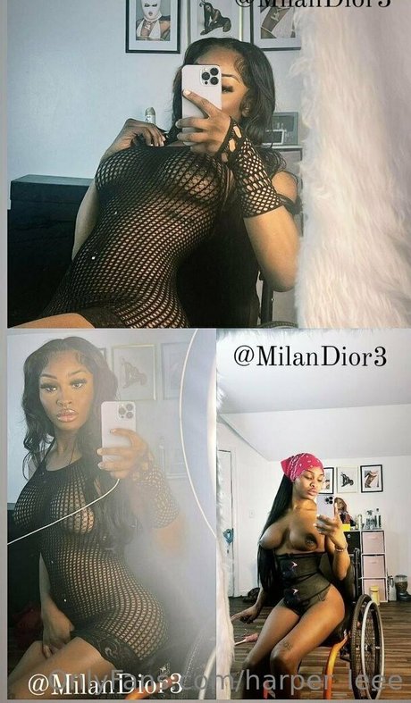 harper leee perfect star galleries