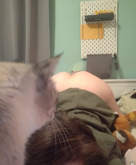 korviid adult star img