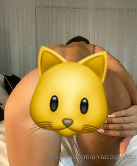 anitacassinfree pornstar exclusive picture