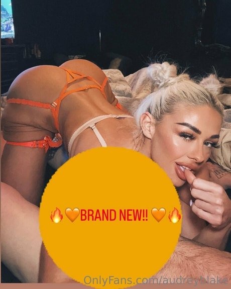 audreyblake perfect pornstar img