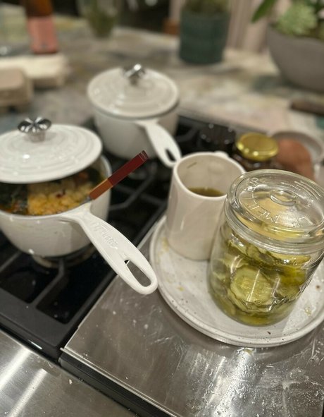 Whitney Cummings model top pictures