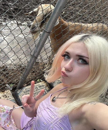 Iluvmeww pornographic star img