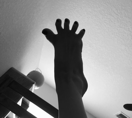 Sonja Reid beautiful star galleries