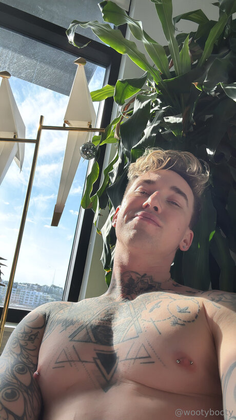 Wootybooty beautiful star images