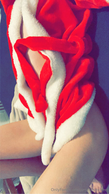 Tornerosexfree art pornstar photo