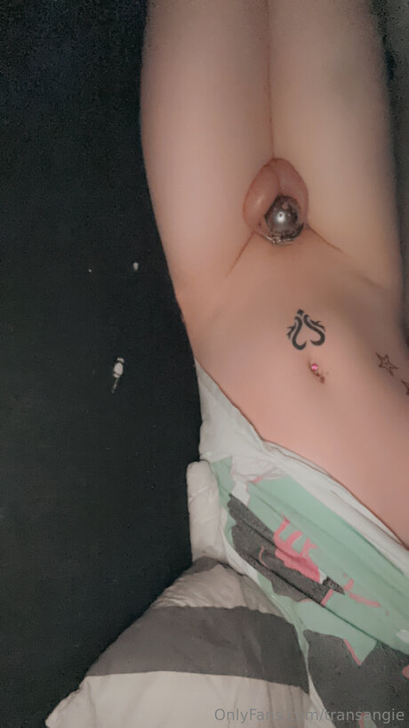 Transangie star porn gallery