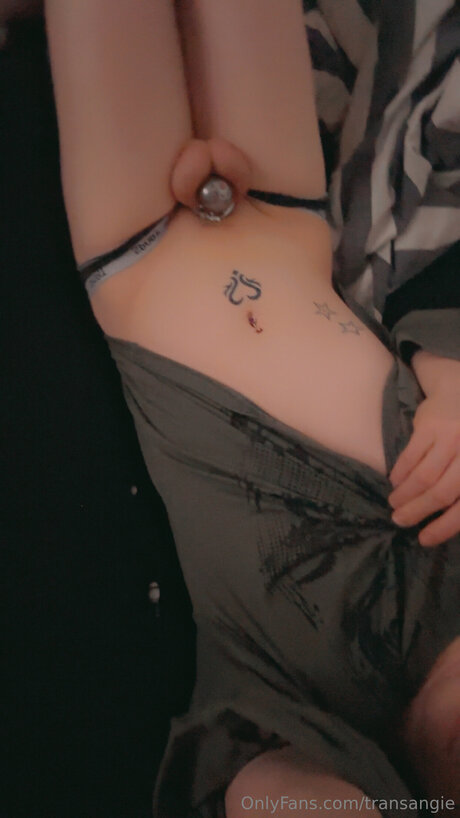Transangie sexy star photo
